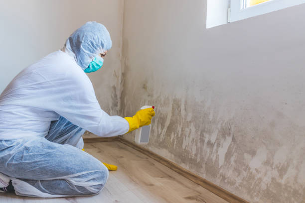 Licensed Crawl Space Mold Removal service in West Point, VA - WQB Mold Removal