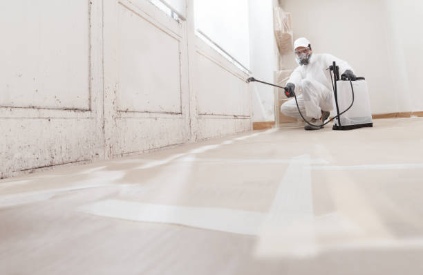 24/7 Emergency Crawl Space Mold Removal experts in West Point, VA