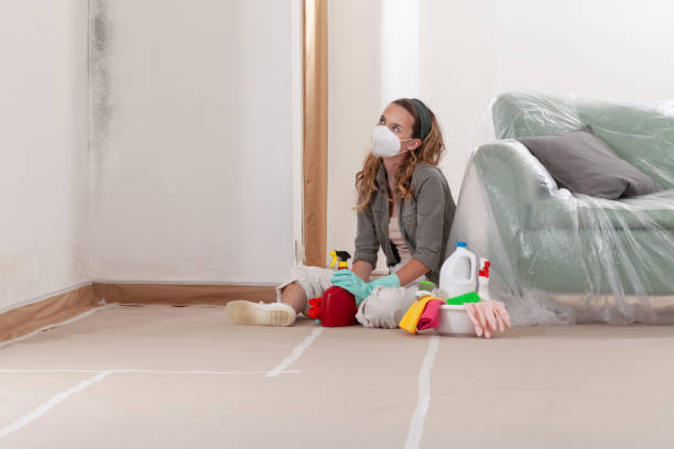 Reliable Crawl Space Mold Removal contractor in West Point, VA by WQB Mold Removal