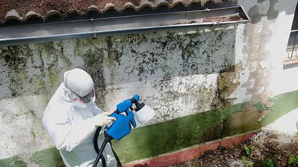 Top rated local Crawl Space Mold Removal specialists in West Point, VA